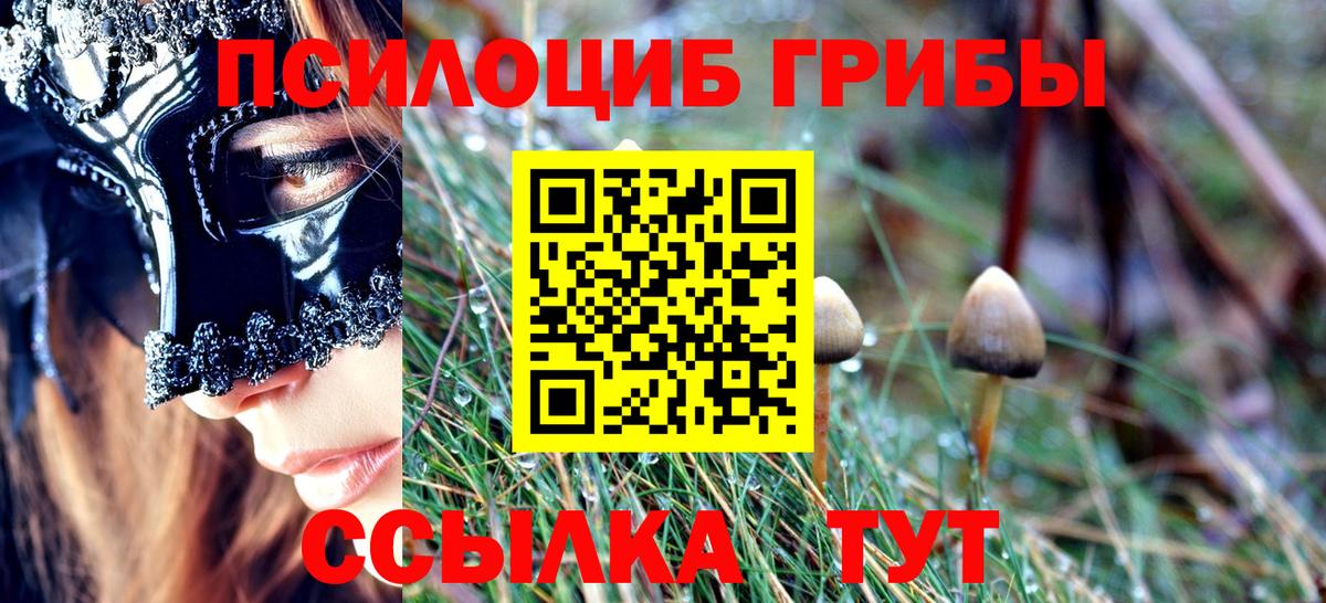 Петрозаводск  Псилоцибиновые грибы мухоморы  Вход с VPN 