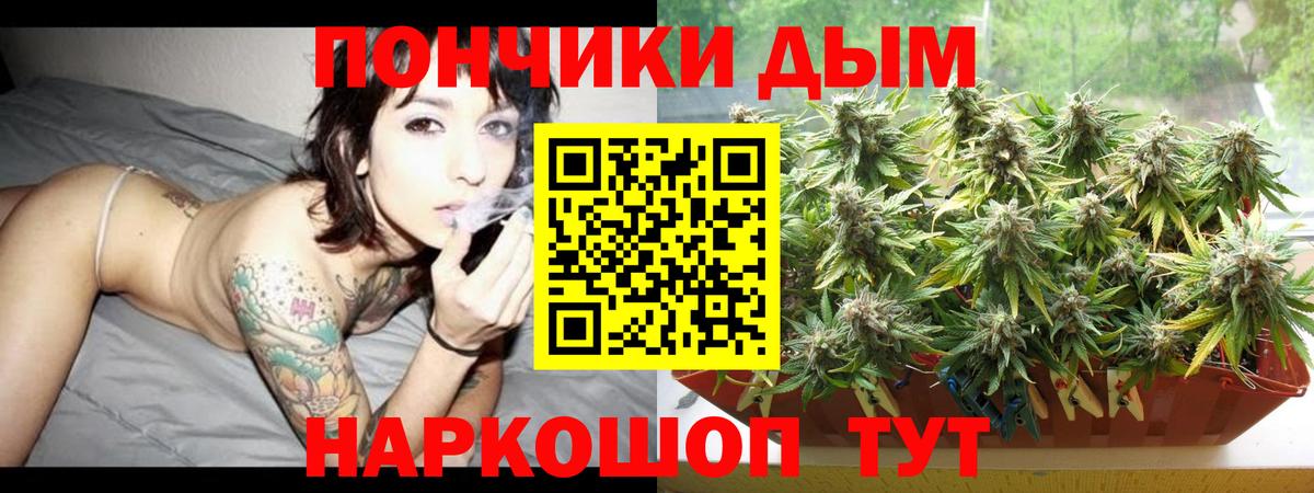 Каннабис конопля Петрозаводск
